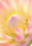 SANEI 総合カタログ 2026.5